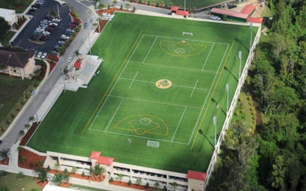 aerial view of field