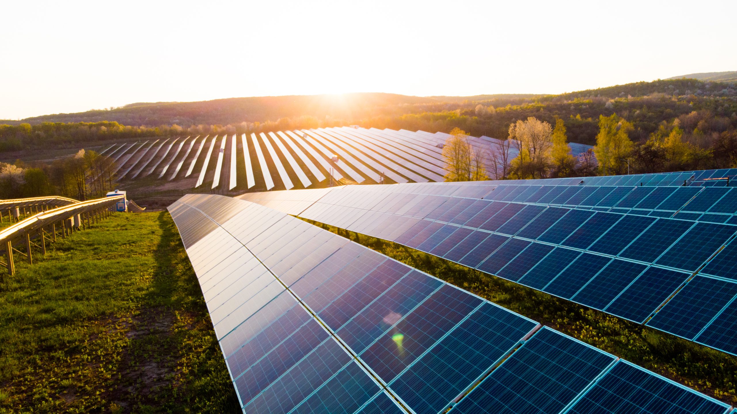 a lot of solar panels in a field